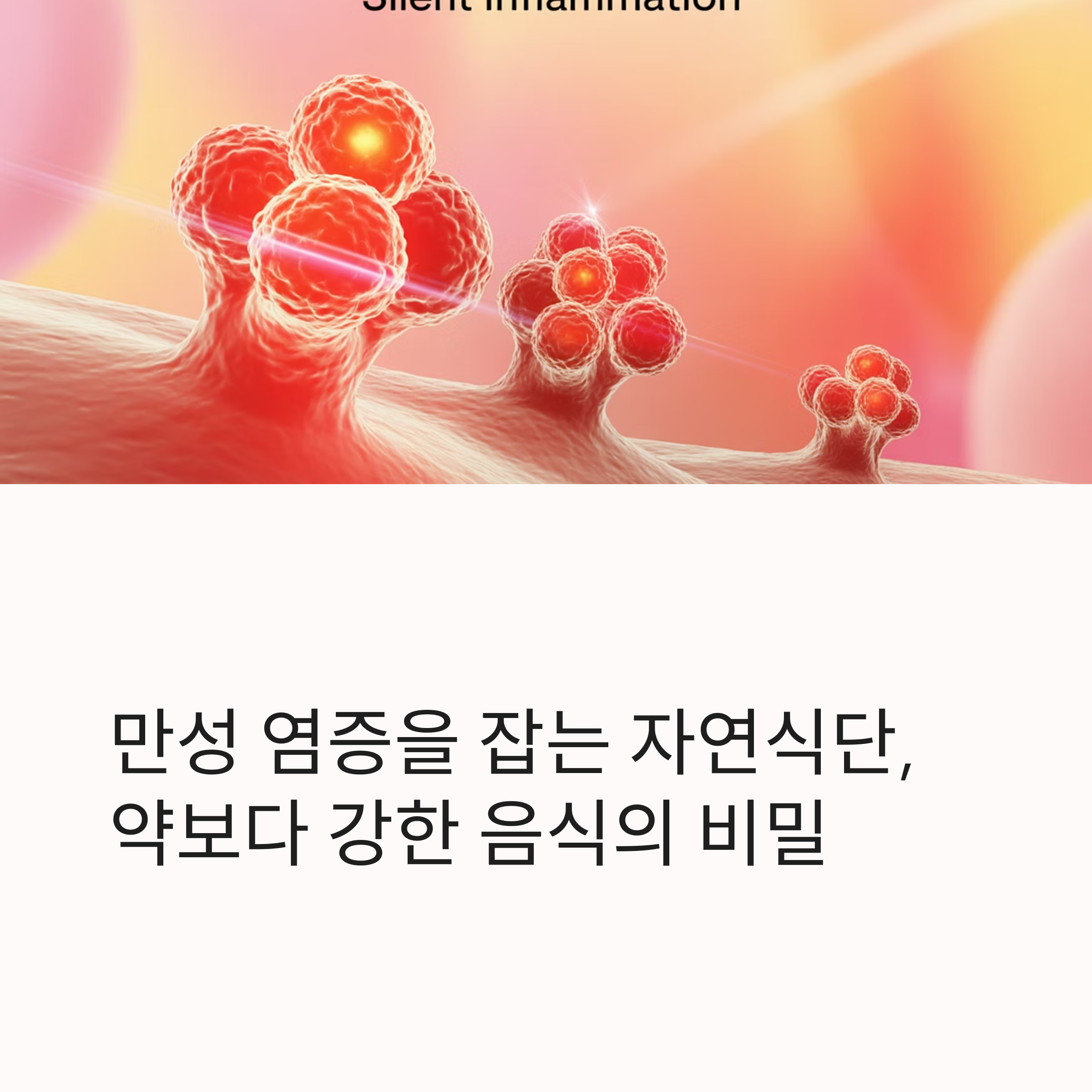 만성 염증을 잡는 자연식단, 약보다 강한 음식의 비밀 관련 사진
