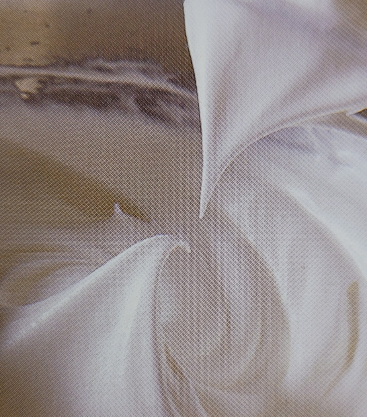 완성된 머랭 사진