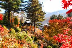 10월 서울근교 가볼만한 곳 베스트