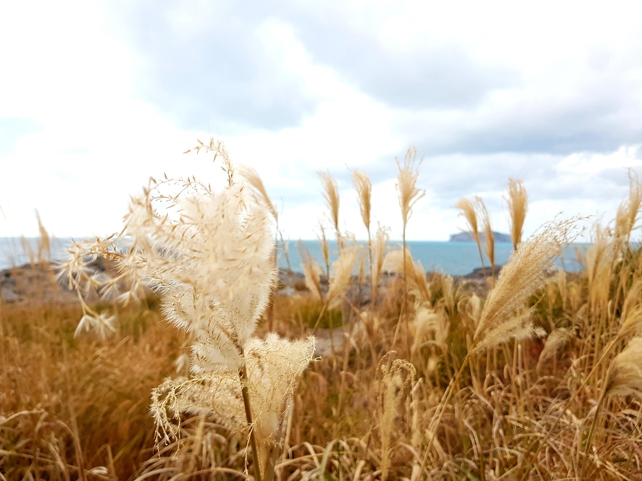제주도관련사진