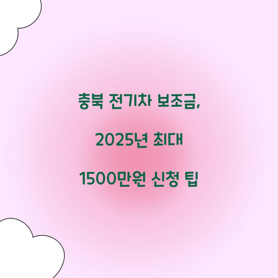 충북 전기차 보조금