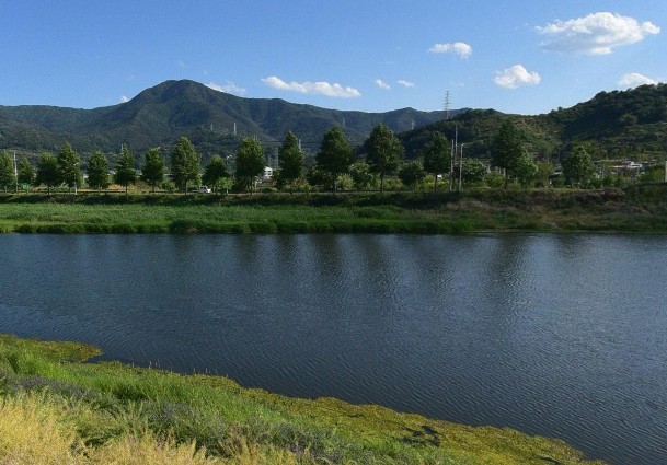 [붕어 낚시 포인트 추천] 청도천 유등보(유등교) 어종 및 추천 채비, 미끼