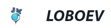 [미국주식] 2025 로보 EV 테크놀로지스(LOBO) 78% 급등🔥 이유와 전기차 전망 지금 투자할까?