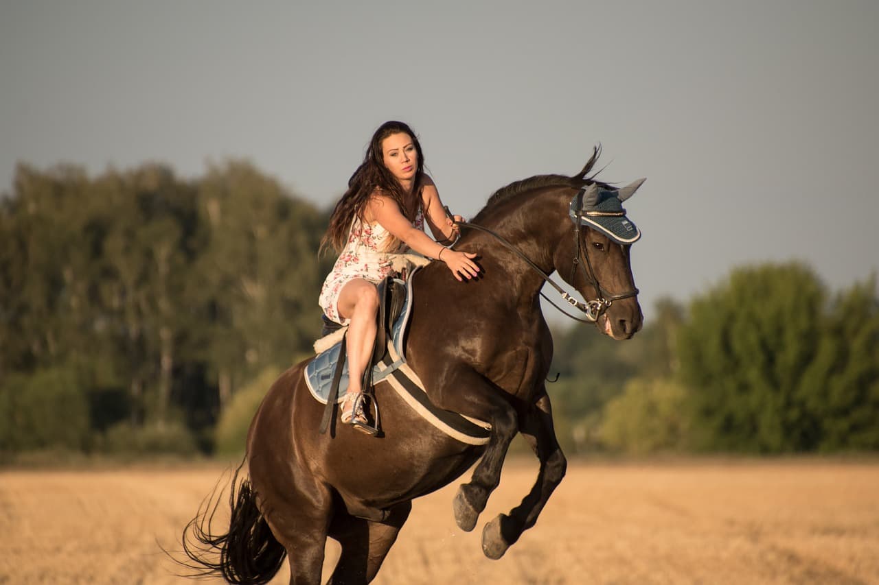 배양육, 전통 요리의 정수를 지키며 혁신하다