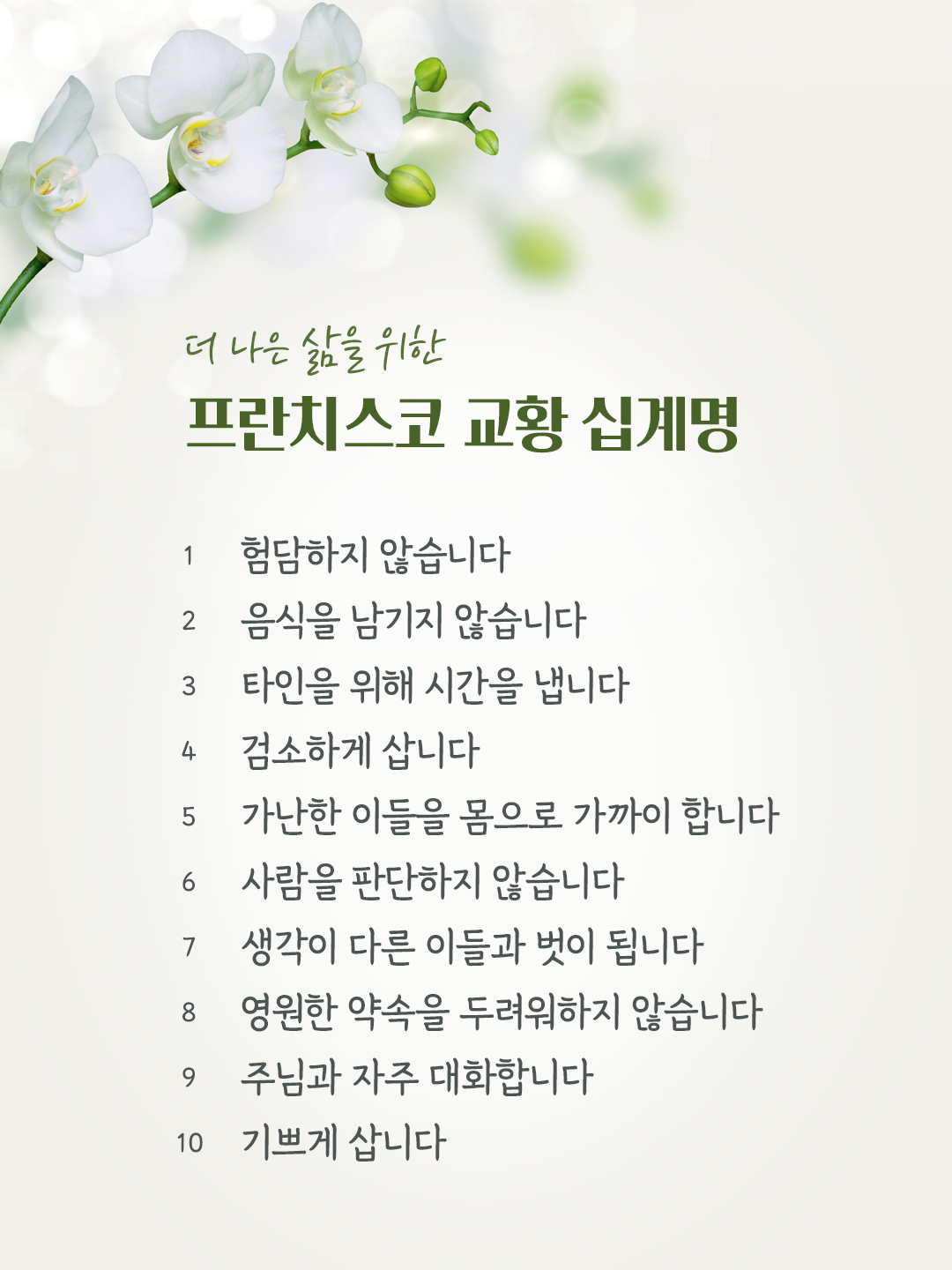 프란치스코 교황 십계명