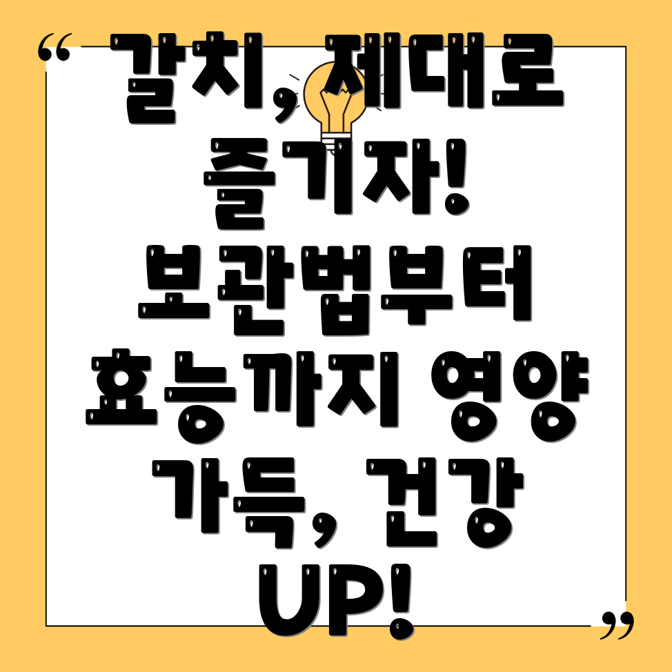 갈치