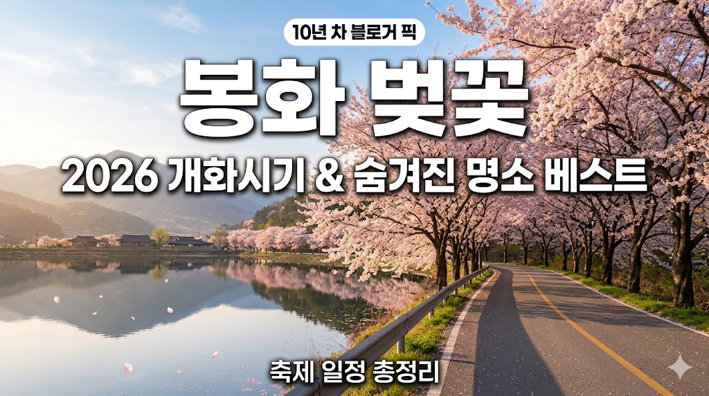 봉화 벚꽃 명소