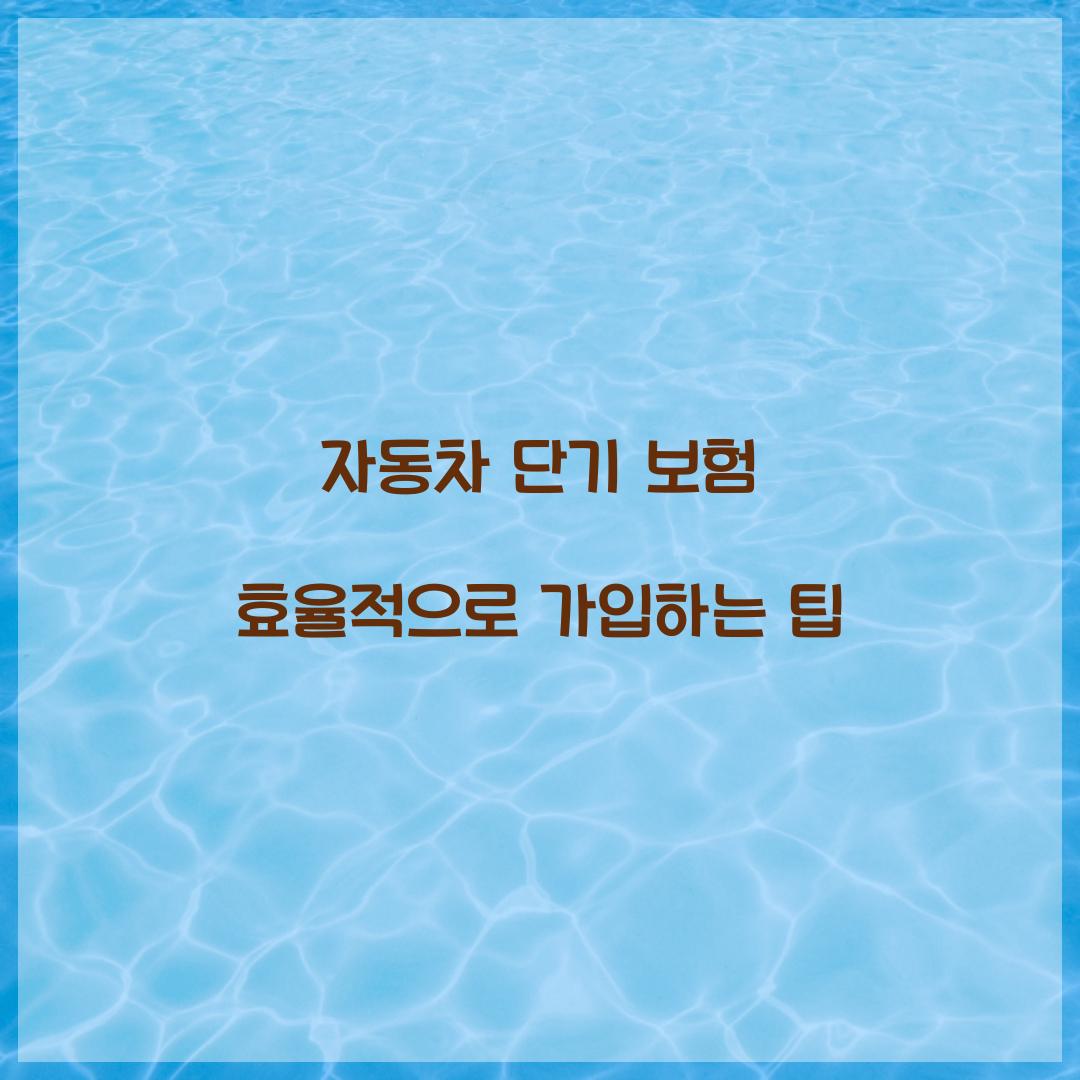 자동차 단기 보험