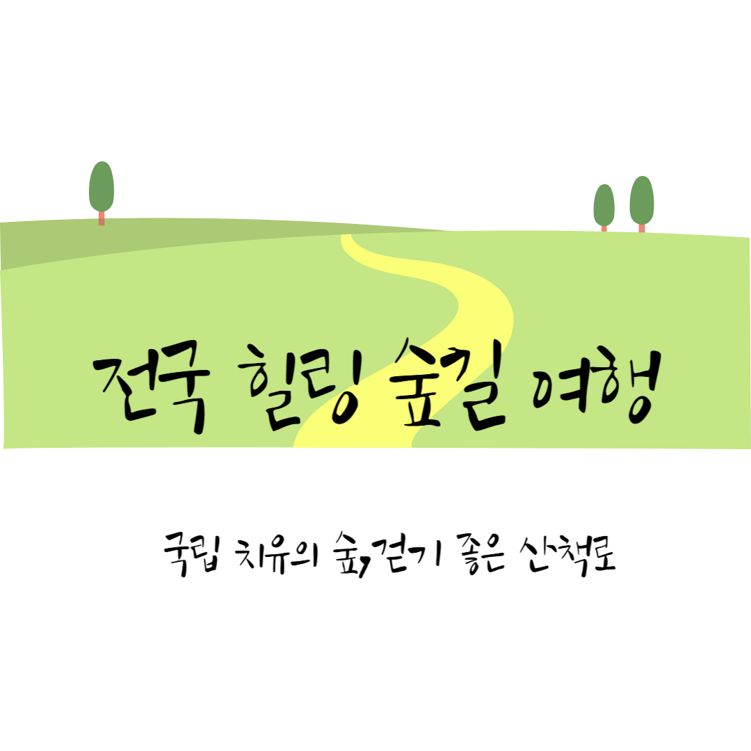 전국 힐링 숲길 여행 – 국립 치유의 숲과 걷기 좋은 산책로 추천