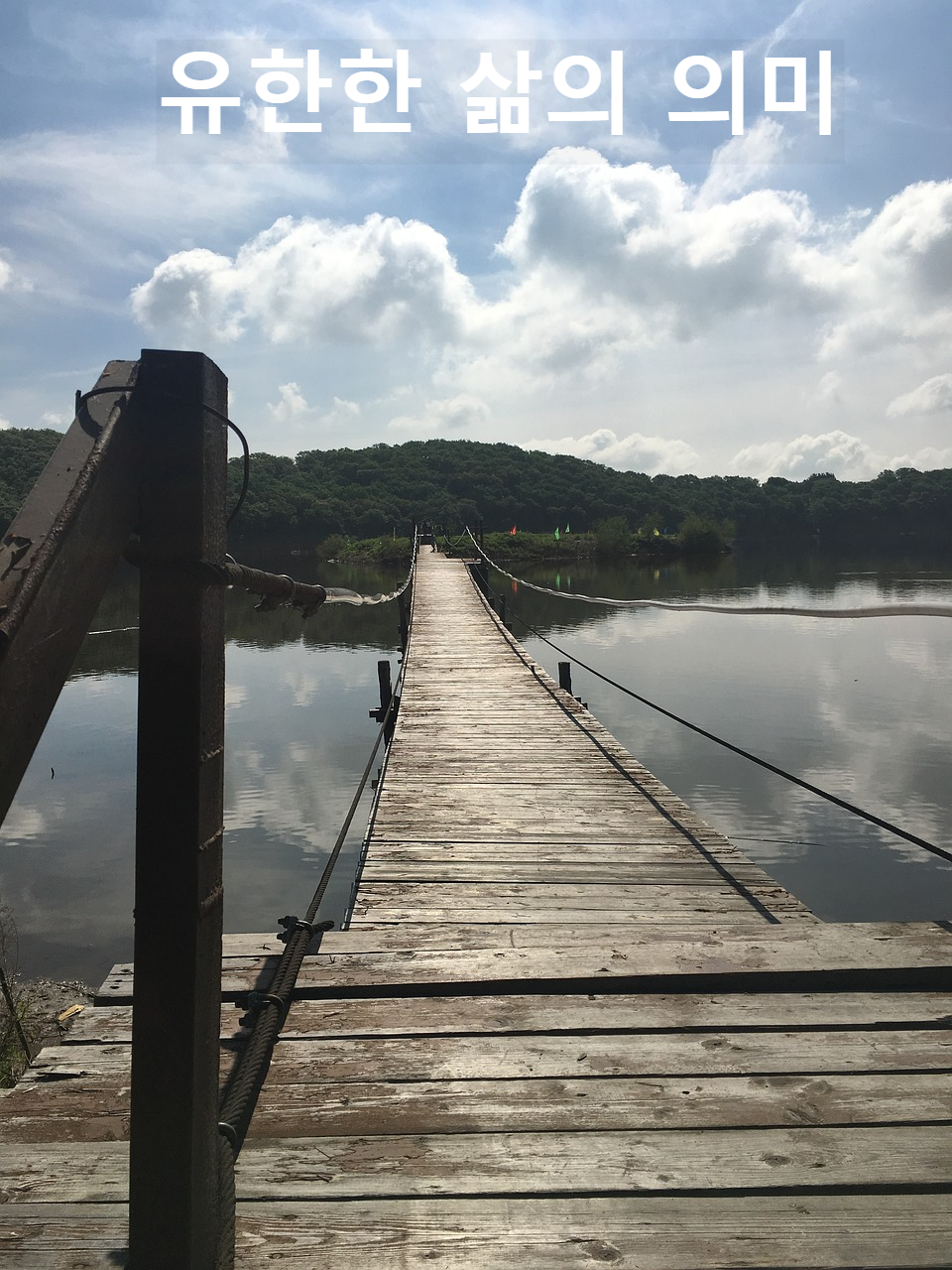 유한한 삶의 의미