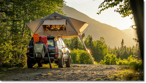 일산 킨텍스 고카프 캠핑 박람회 무료입장