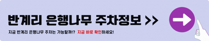 반계리 은행나무 주차
