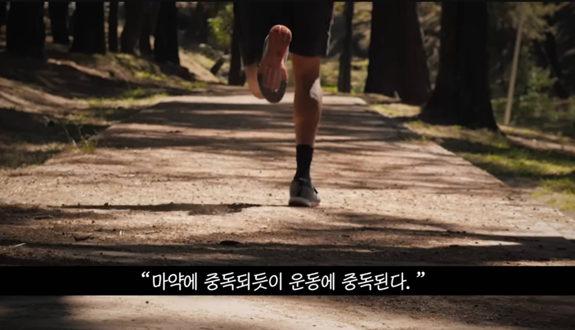 하와이대저택 운동에 중독된다