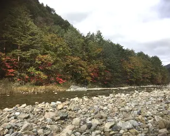 설악산 단풍, 절정 시기_18