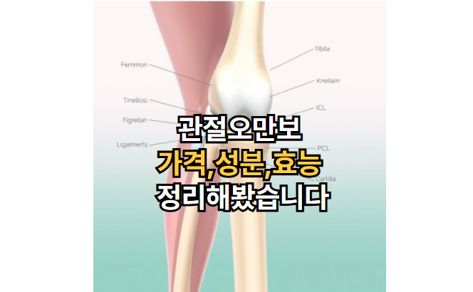 관절오만보-가격-성분-소연골-콘드로이친-효능