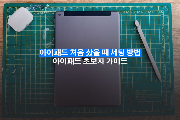 아이패드 처음 샀을 때
