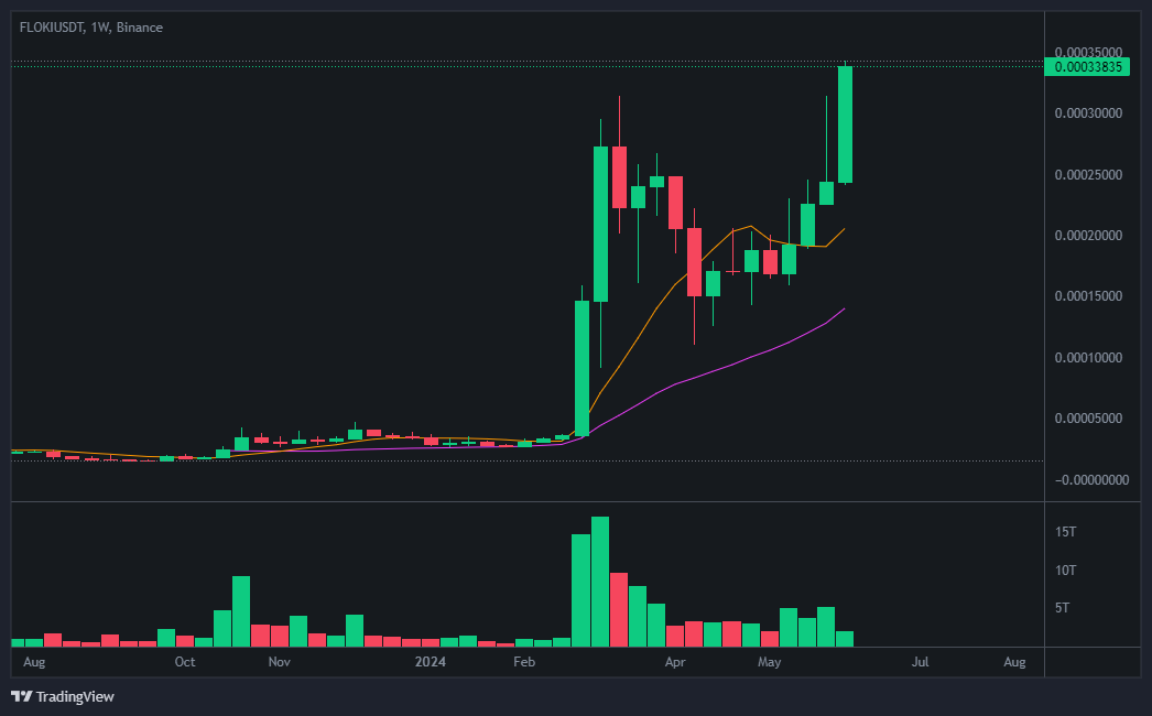플로키(FLOKI) 코인 차트 분석