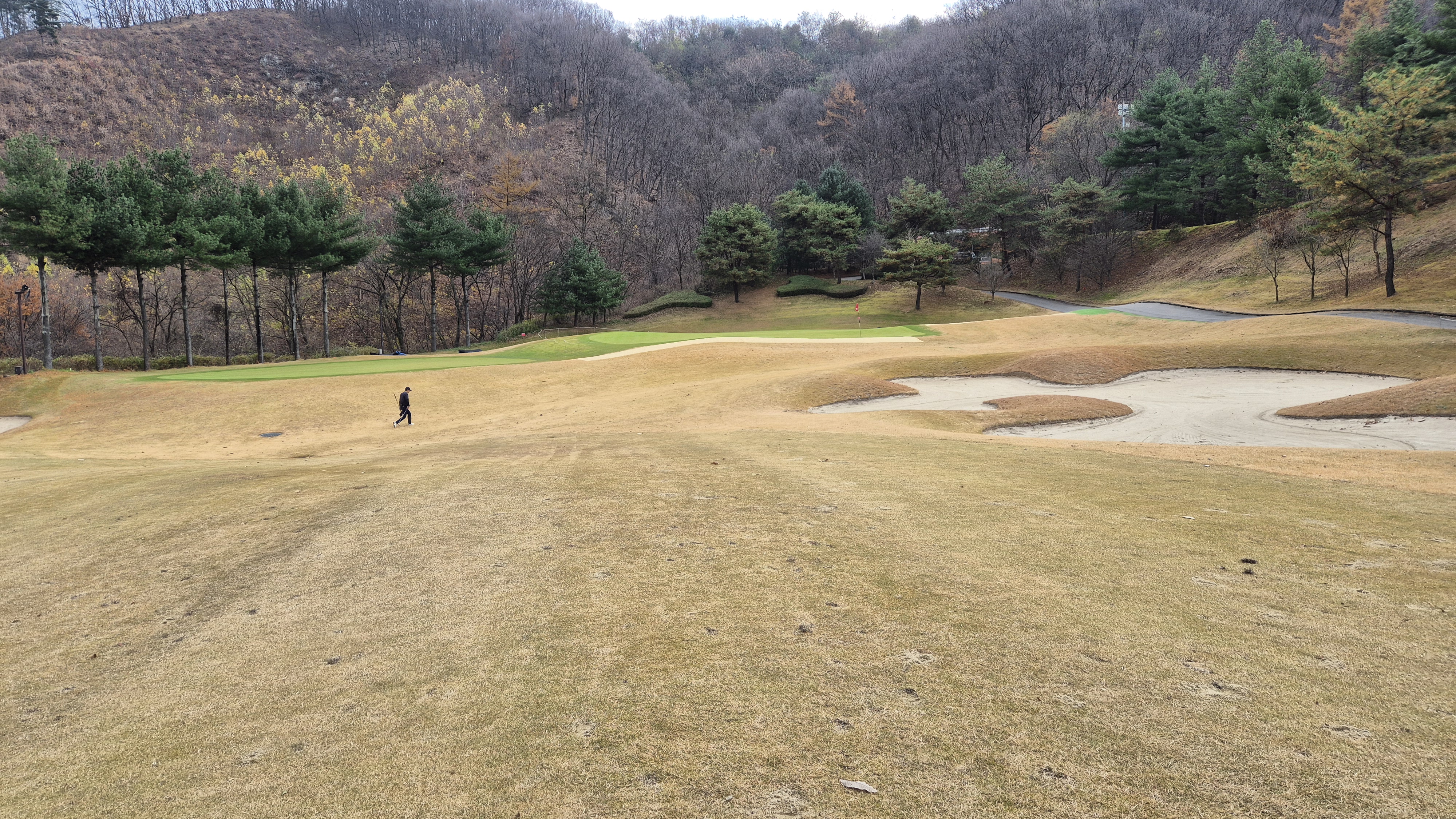 올데이 떼제베cc 누리코스 사진 및 공략 정보