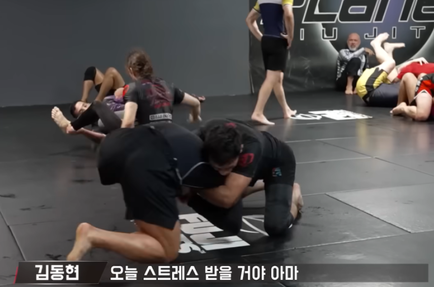 김동현 밈 스트레스 많이 받을거야 밈 요즘 유행 "오늘 운동 많이 된다"뜻 쓰는방법 배워보기