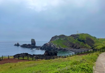 제주도 섭지코지