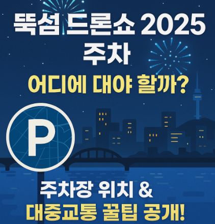 뚝섬 드론쇼 2025