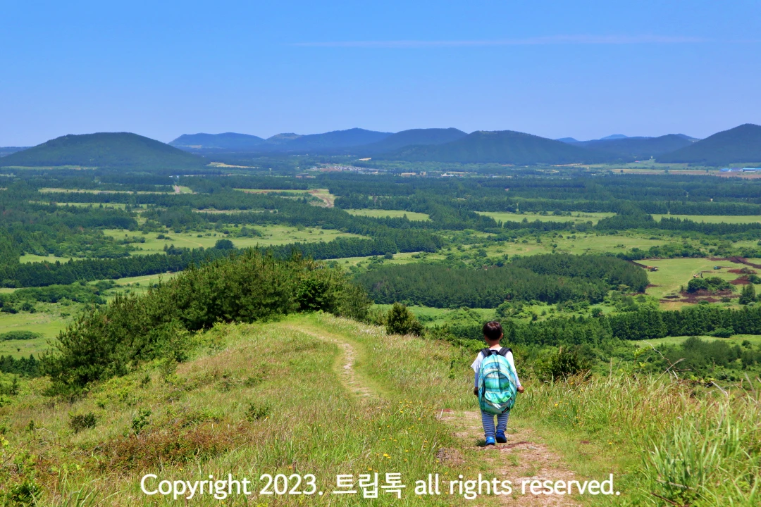 진한 초록생으로 담장이 쳐진듯하고 하늘은 파랗다. 구부러진 길을 따라 초록 가방을 들에멘 아이가 내려간다.