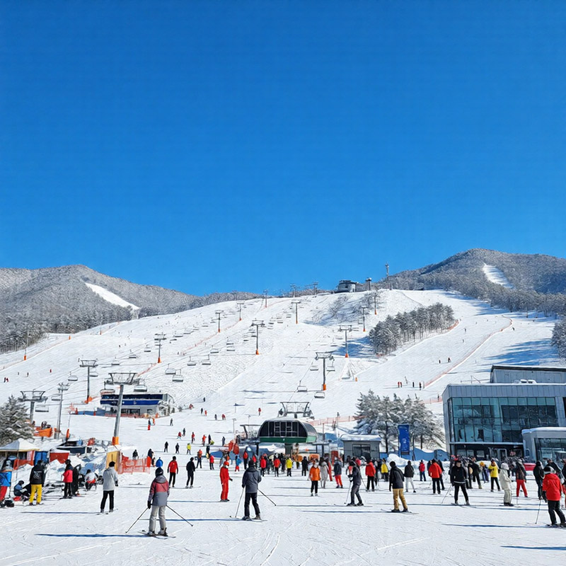 주요 스키장 얼리버드 할인