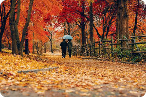 화담숲 홈페이지 예매방법 입장료 할인정보까지 한번에