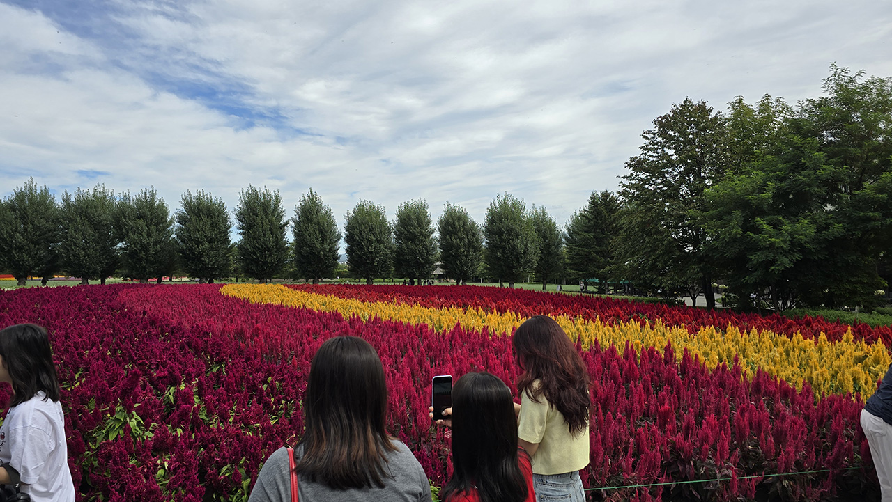 팜토미타 입장료
