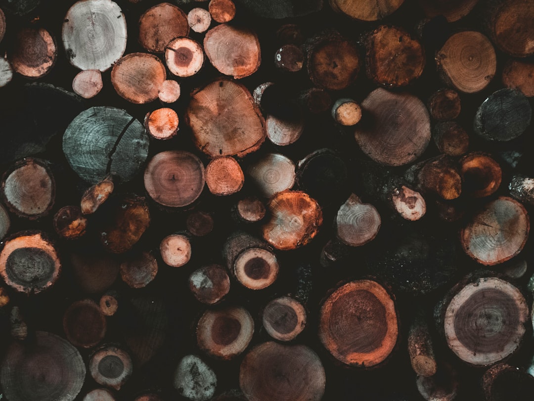Log