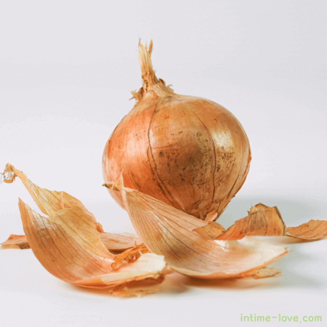 양파 고르는 법