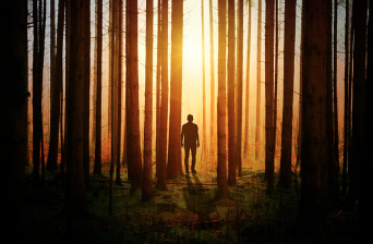 강한 햇빛 아래서 촬영하는 방법