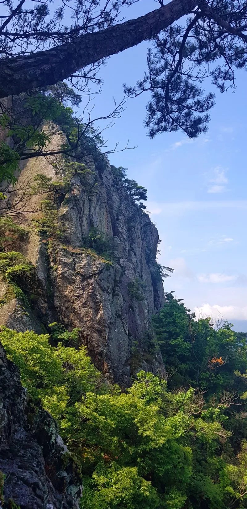 청도 복호산