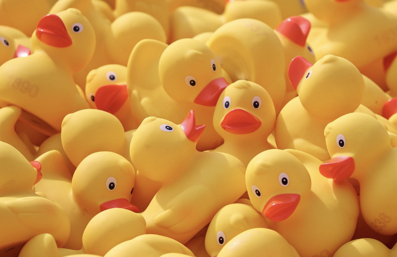 돌 전 아기 장난감, 월령별 꼭 샀던 것 vs. 후회한 것 비교 정리