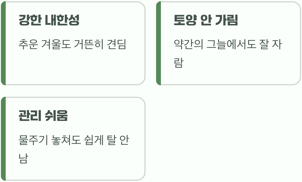 초보 정원사도 실패 없는 강인함