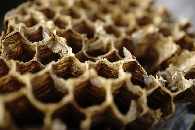 2025 근로장려금 신청하기