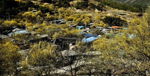 2023년 봄 축제 일정