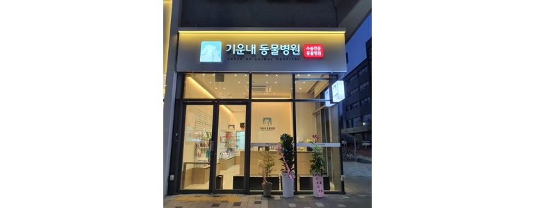 광주 북구 근처 동물병원 추천 정보 | 24시간 잘하는곳 고양이 강아지 중성화 수술 애견 가격 비용 금액 후기 -
기운내동물병원
광주 북구 동물병원