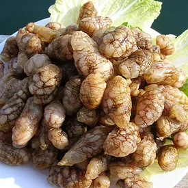 바다향과 식감이 좋은 오만둥이 사진