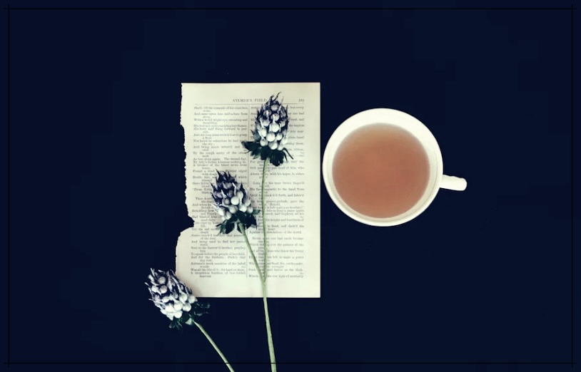 자궁에 좋은 차와 음식 추천 TOP5