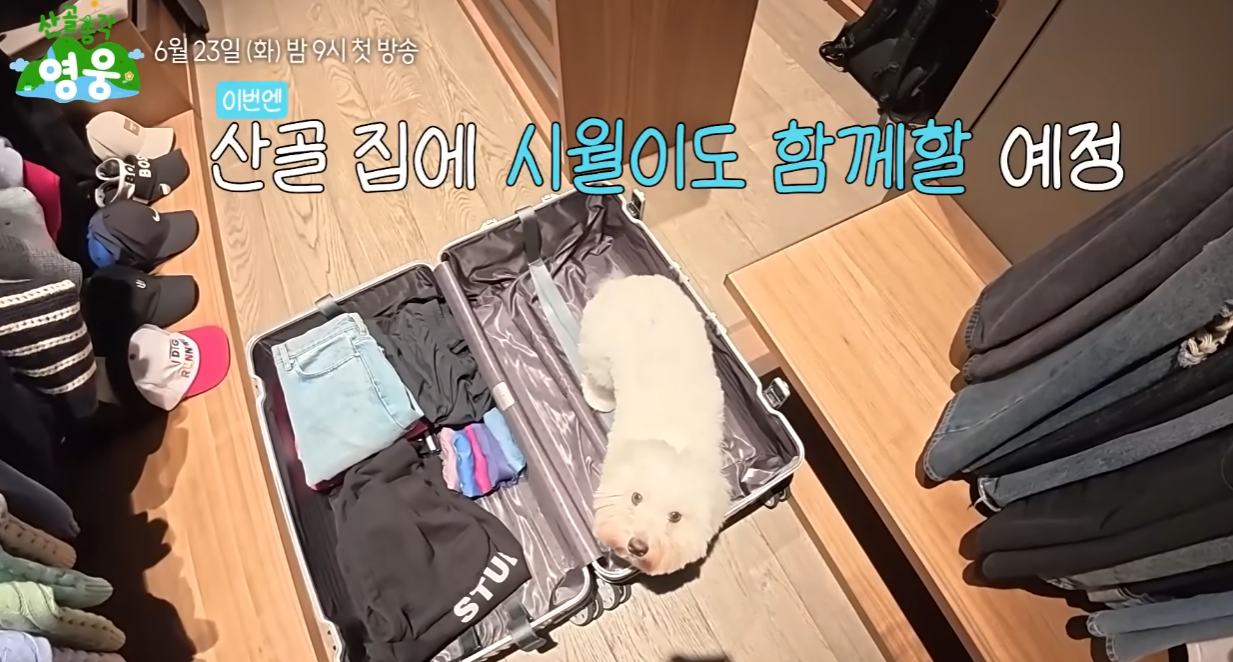 산골총각 영웅