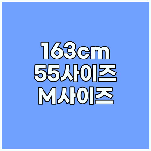 163cm 55사이즈 뮬리안 원피스 ..