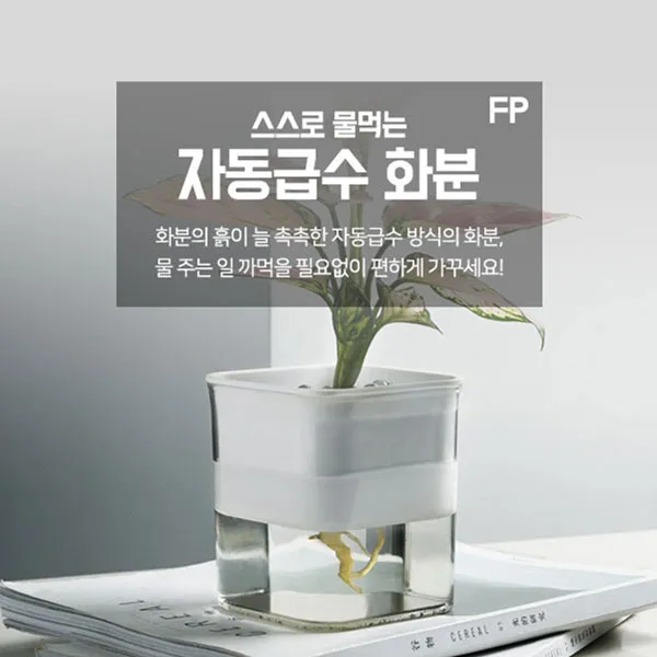 자동급수 화분 선택 물탱크관리 여행중건조 예방 쉬운 사용법_5