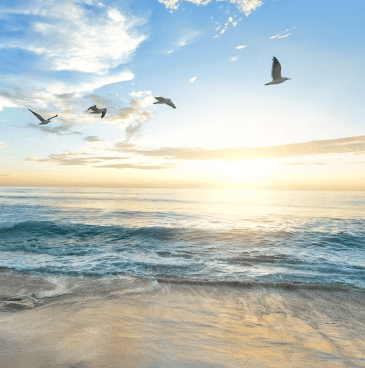 기미 없애는 방법 - 자외선 차단제