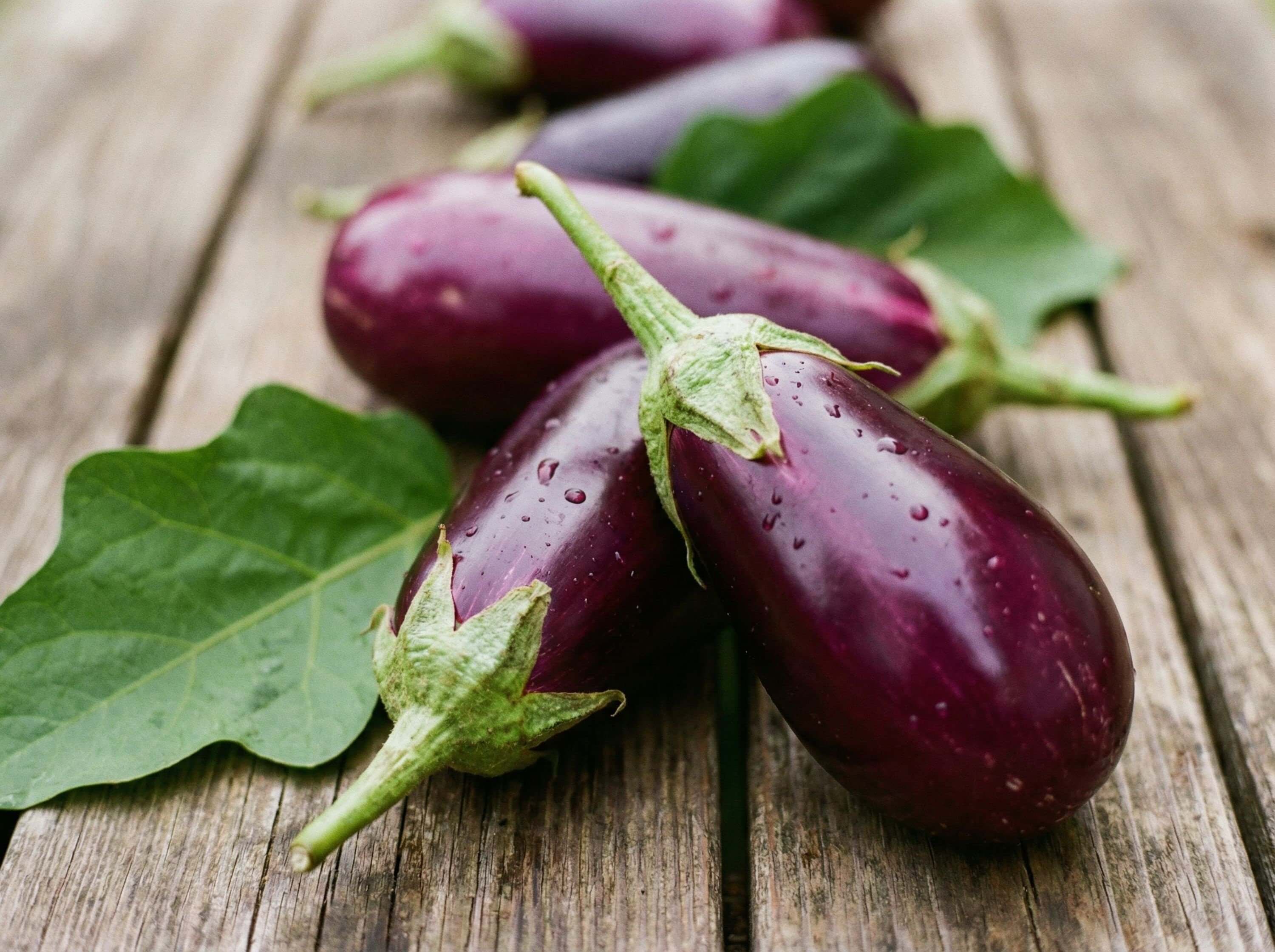 가지의 효능, 보관 방법, 궁합이 좋은 식재료, 활용 요리