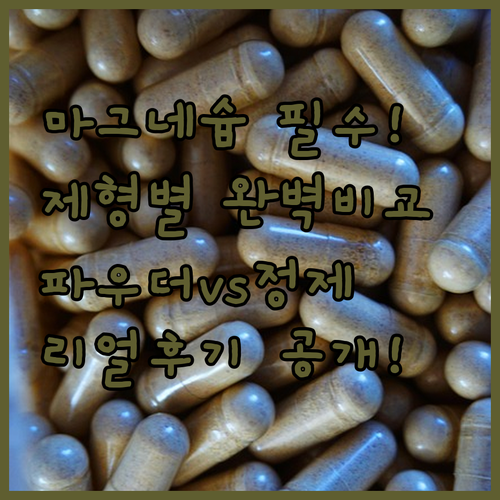 마그네슘 추천 종류별 특징과 파우더 ..