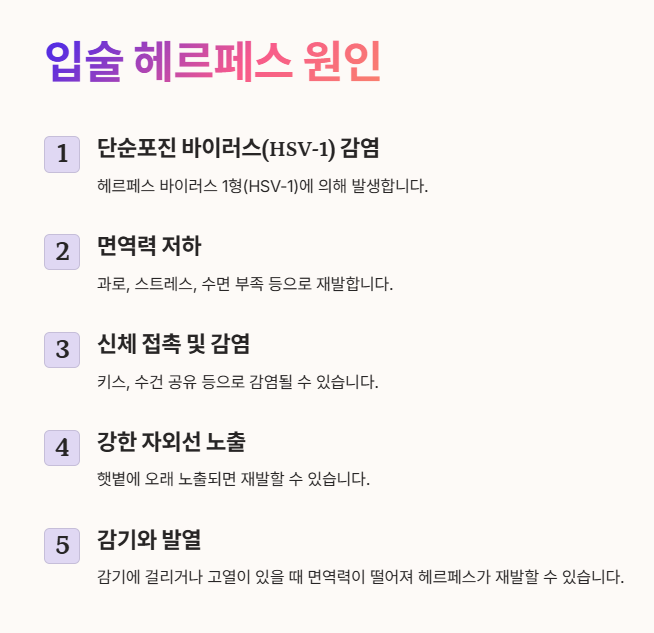 입술 수포 헤르페스 원인