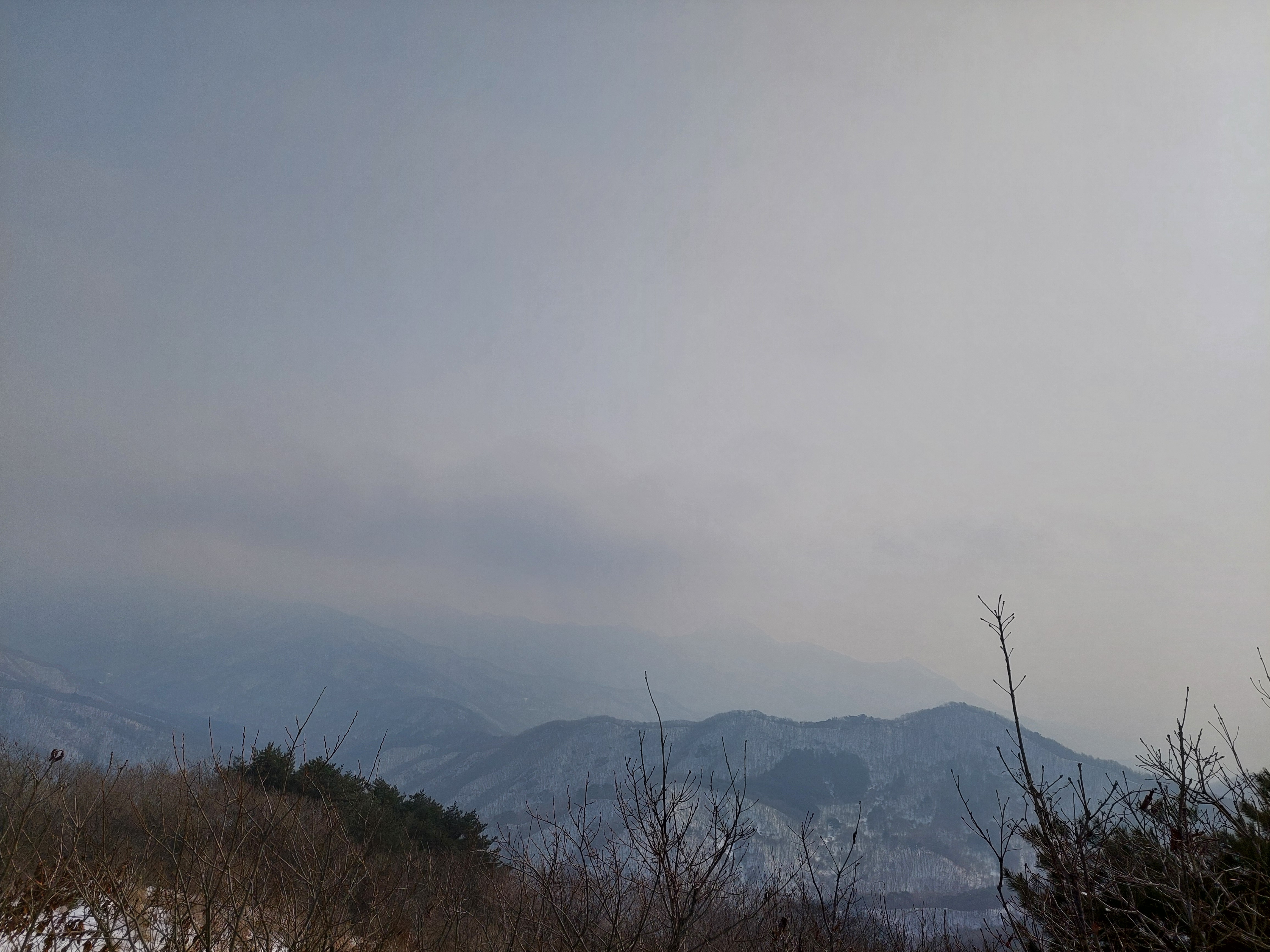유명산