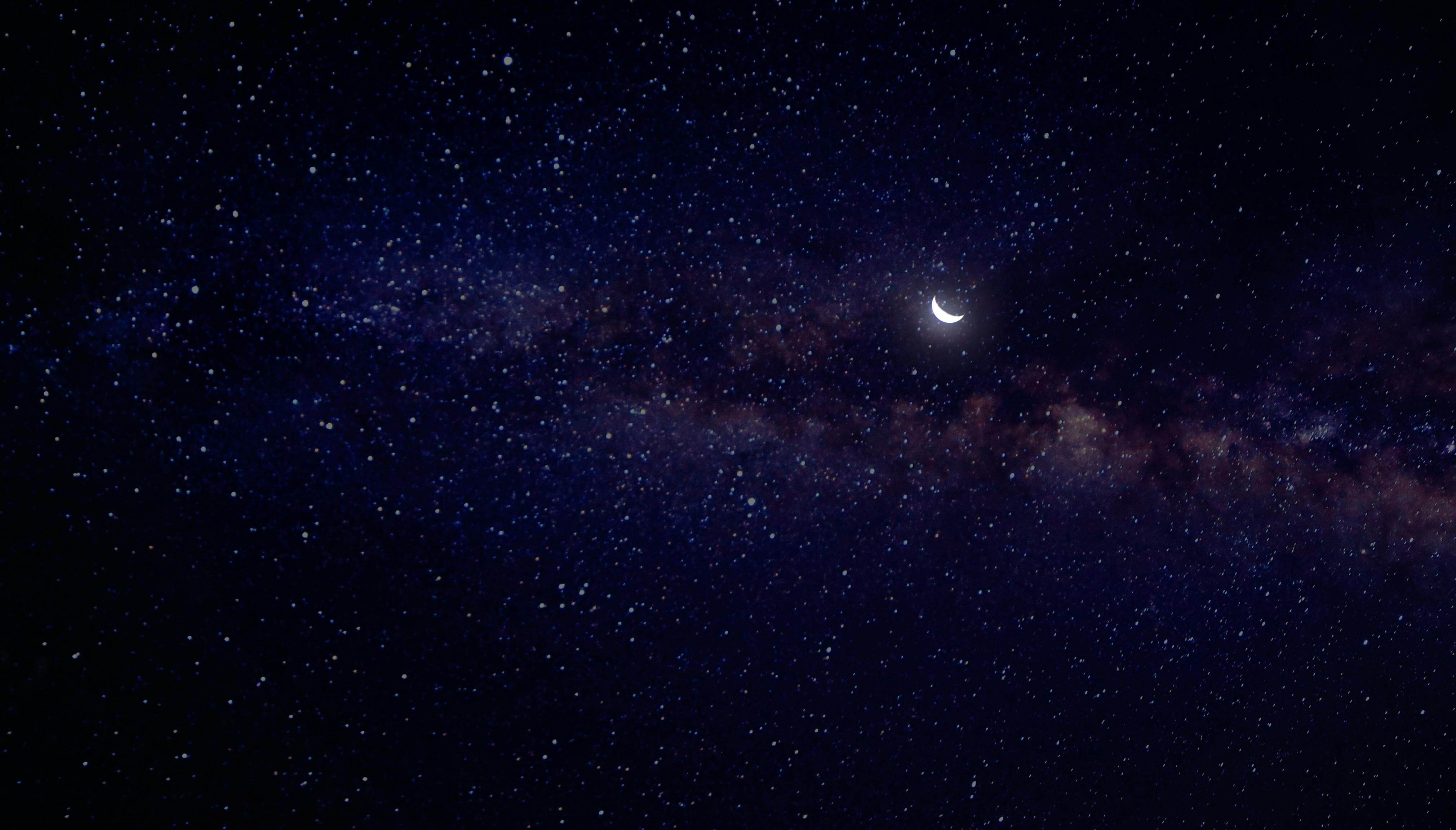 New Moon(신월)