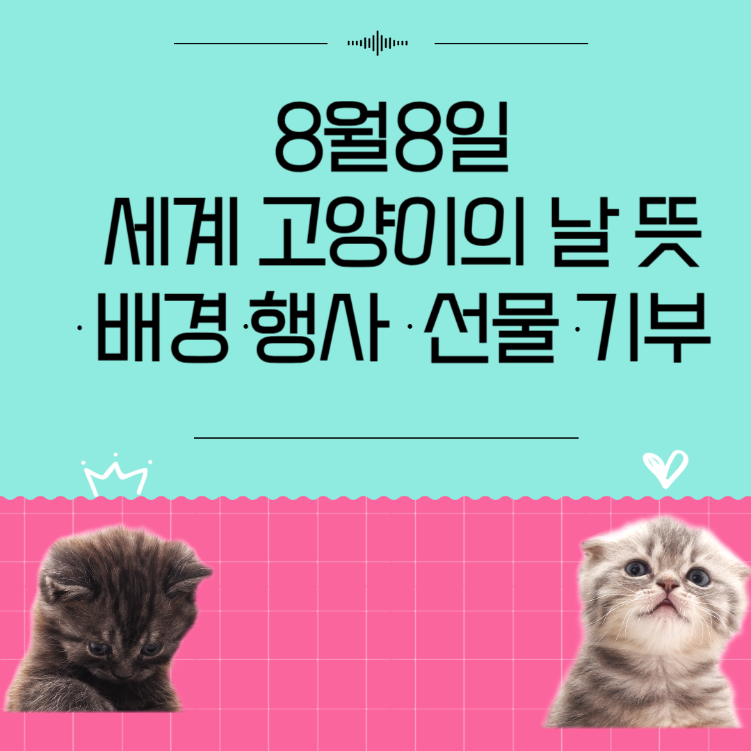 8월8일 세계 고양이의 날 뜻&middot;배경&middot;행사&middot;선물&middot;기부
